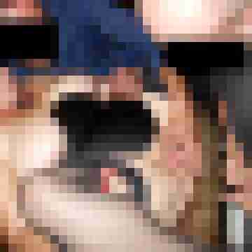 MasterPaul