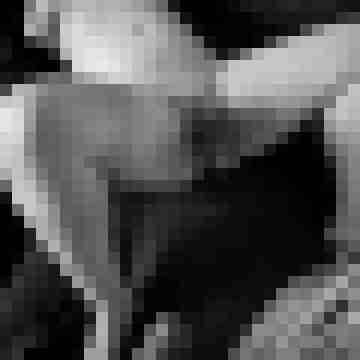 pichunters
