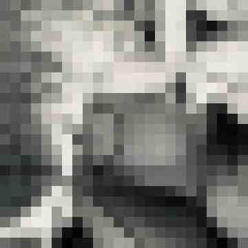IceAngelDeluxe-