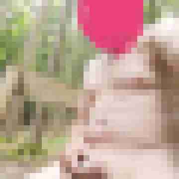 spermaschuss