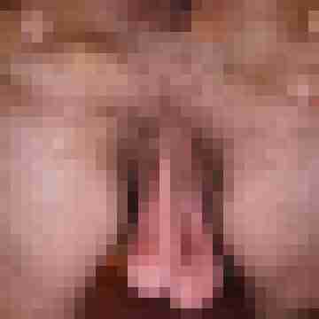 Steffen_76