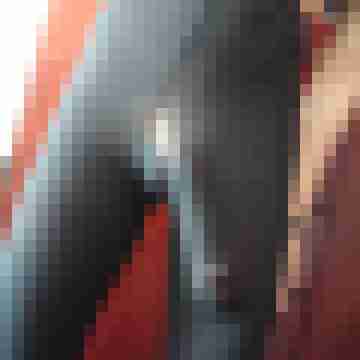 Nylonboy57