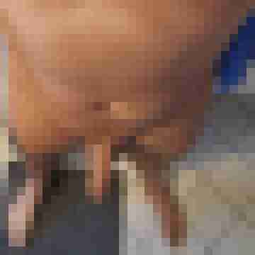Blauauge_089