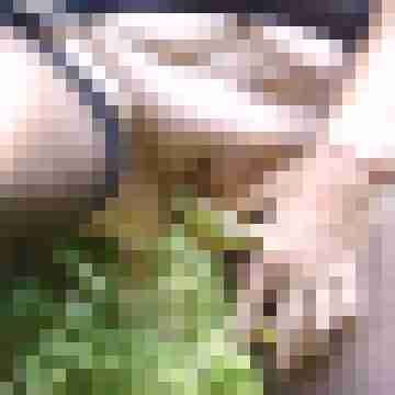 Letsy4u2c