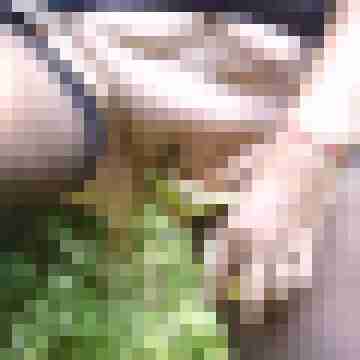Letsy4u2c