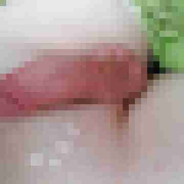 SweetCamBoyFlo
