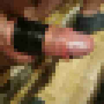 Bi-Schwanz-Kerl