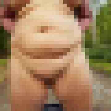 Pepperpaar