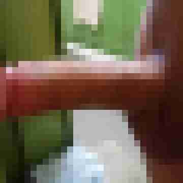 moppi256