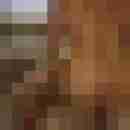 annadevot
