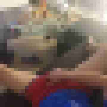 patte83