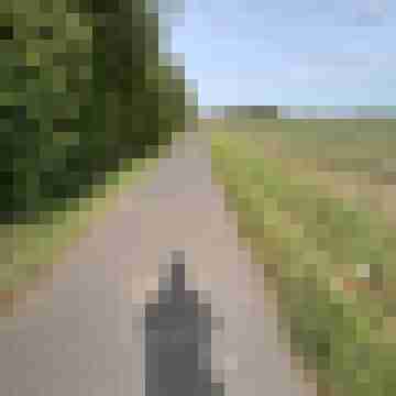 sg44