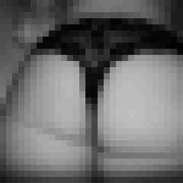 arschstute