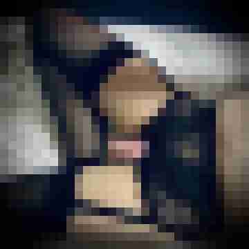 signothetimes