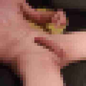 patte83