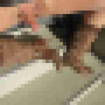 nylony_tv