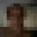 hengst1234