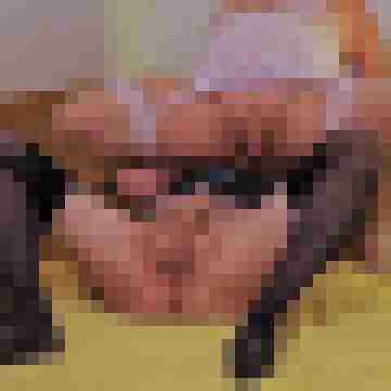 Haumphrey