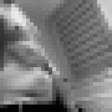 Finger1989