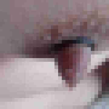 cock01