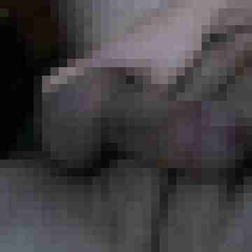 Tscharlie7