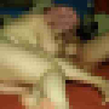 maturelover_1968