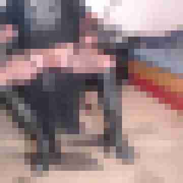 metalhead197036