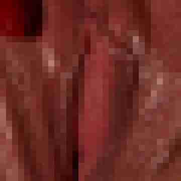 Lustvoll312