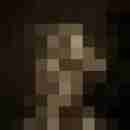 Phorus