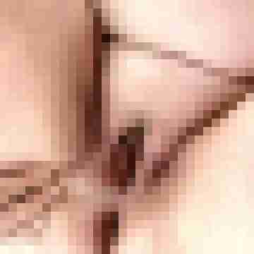 stutenlover