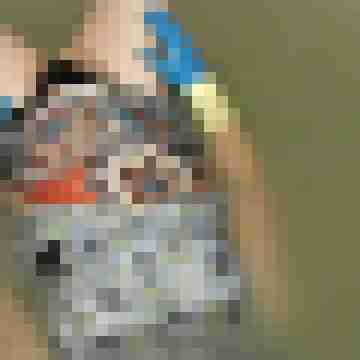 putz-frau
