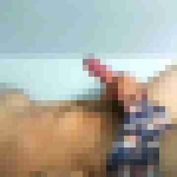 Tim26445