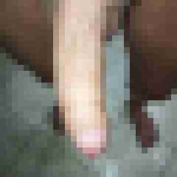nic12