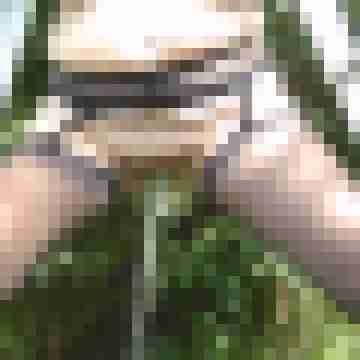 Letsy4u2c