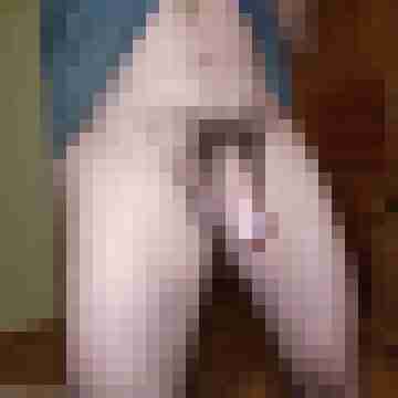 buschiMuschi_pralleEier