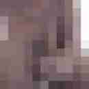 sexx20x5