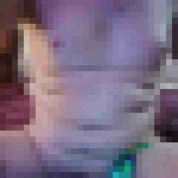 Rademenes