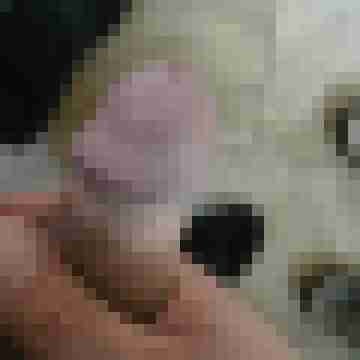 Steffen_76