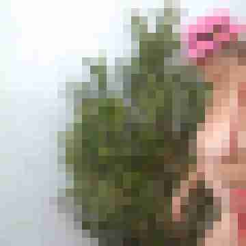 Letsy4u2c