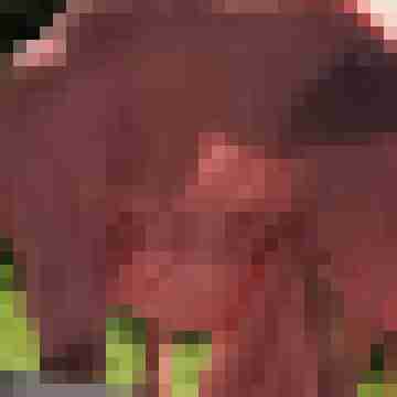 toppoint123