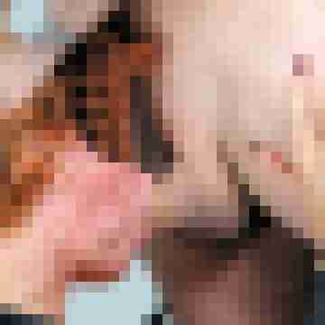 seemann0706