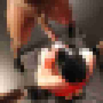 HerrundSub