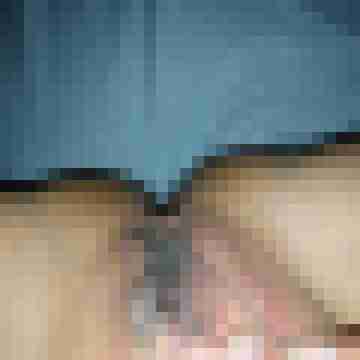 Alexa31