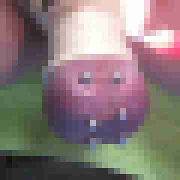 intimgepiercter