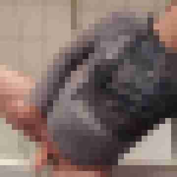 diggi7