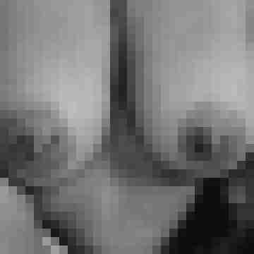 VerruecktesPaar8176