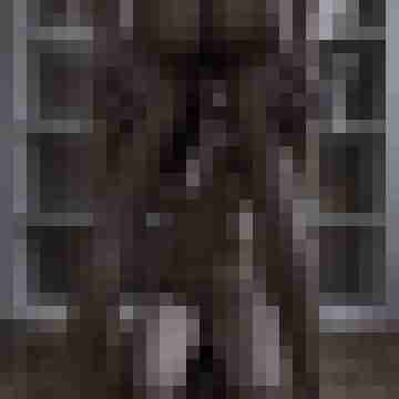 Phorus