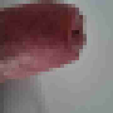 maikiplz01
