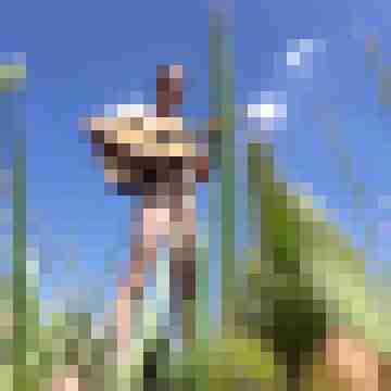 8 Bilder von Intothedarkside