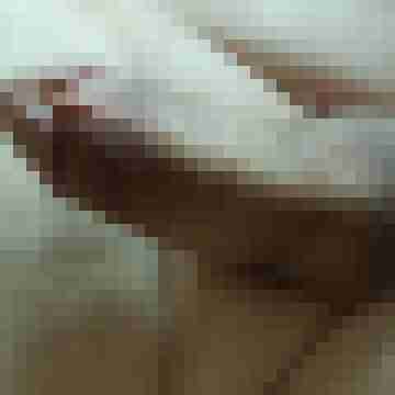 exib1